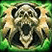 Skill Icon